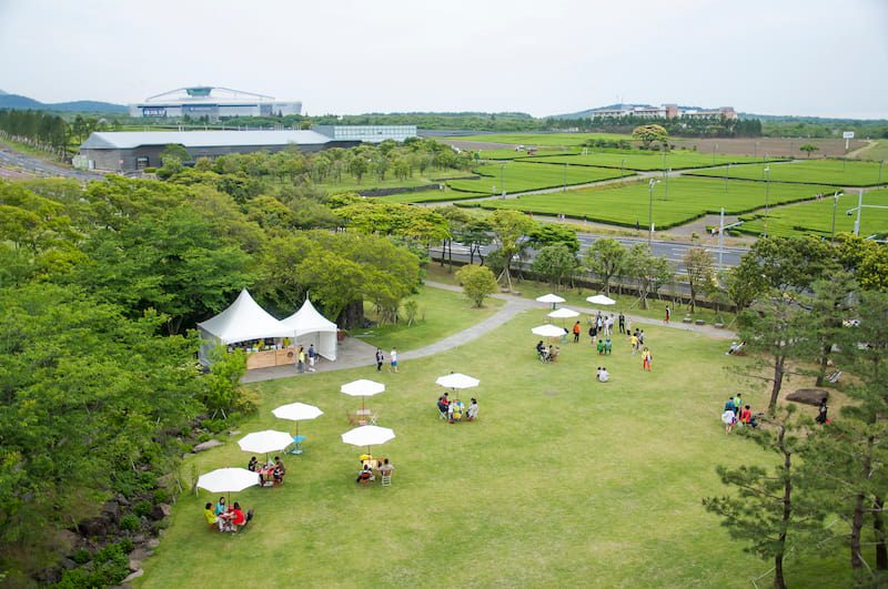 Artificial Grass vs. Turf