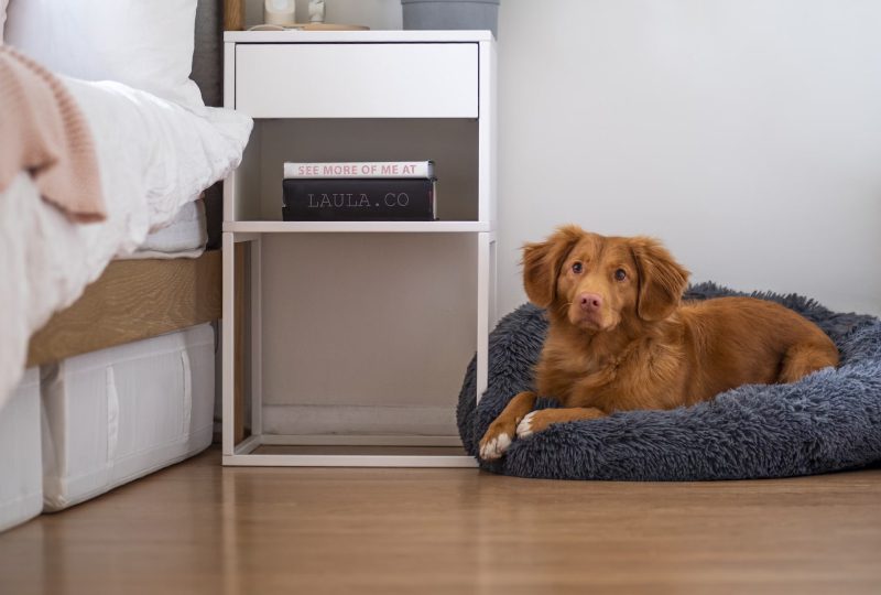 Common Mistakes when Laying Laminate Flooring