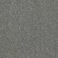Abingdon Carpets Caress Finesse Titanium