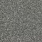 Abingdon Carpets Caress Finesse Titanium