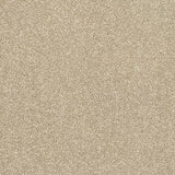 Abingdon Carpets Caress Finesse Latte