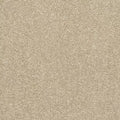Abingdon Carpets Caress Latte