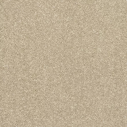Abingdon Carpets Caress Latte