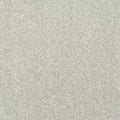 Abingdon Carpets Caress Finesse Suede