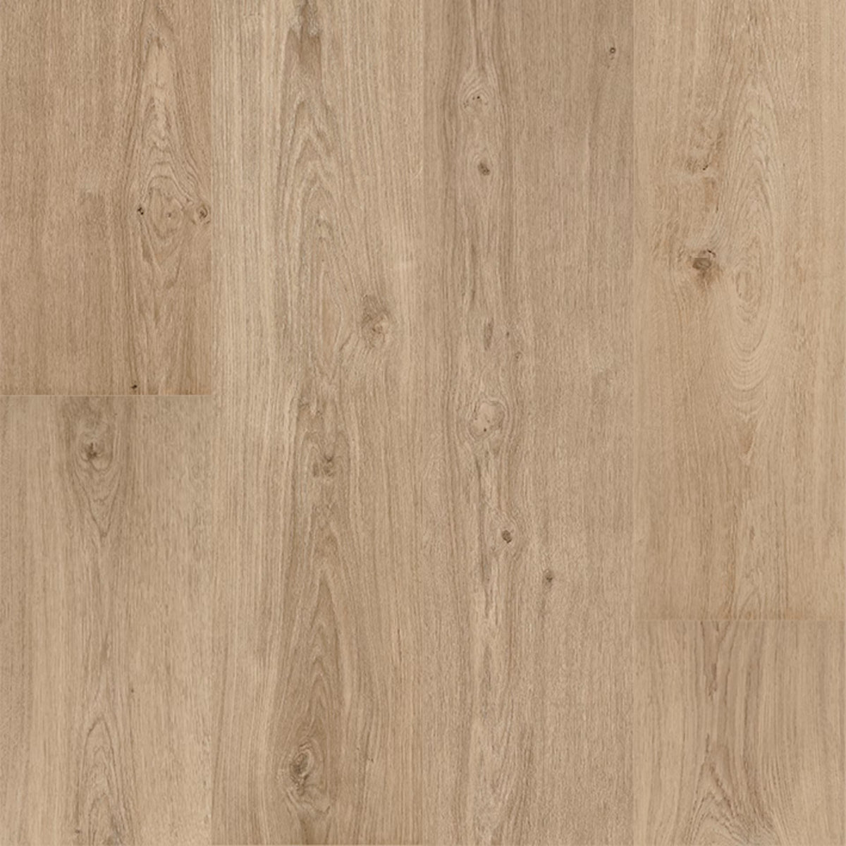 Floorify Long Planks Champagne Glue Down