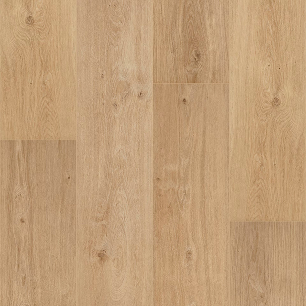 Floorify Long Planks Cider Glue Down