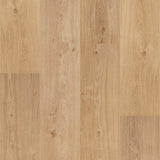 Floorify Long Planks Cider Glue Down
