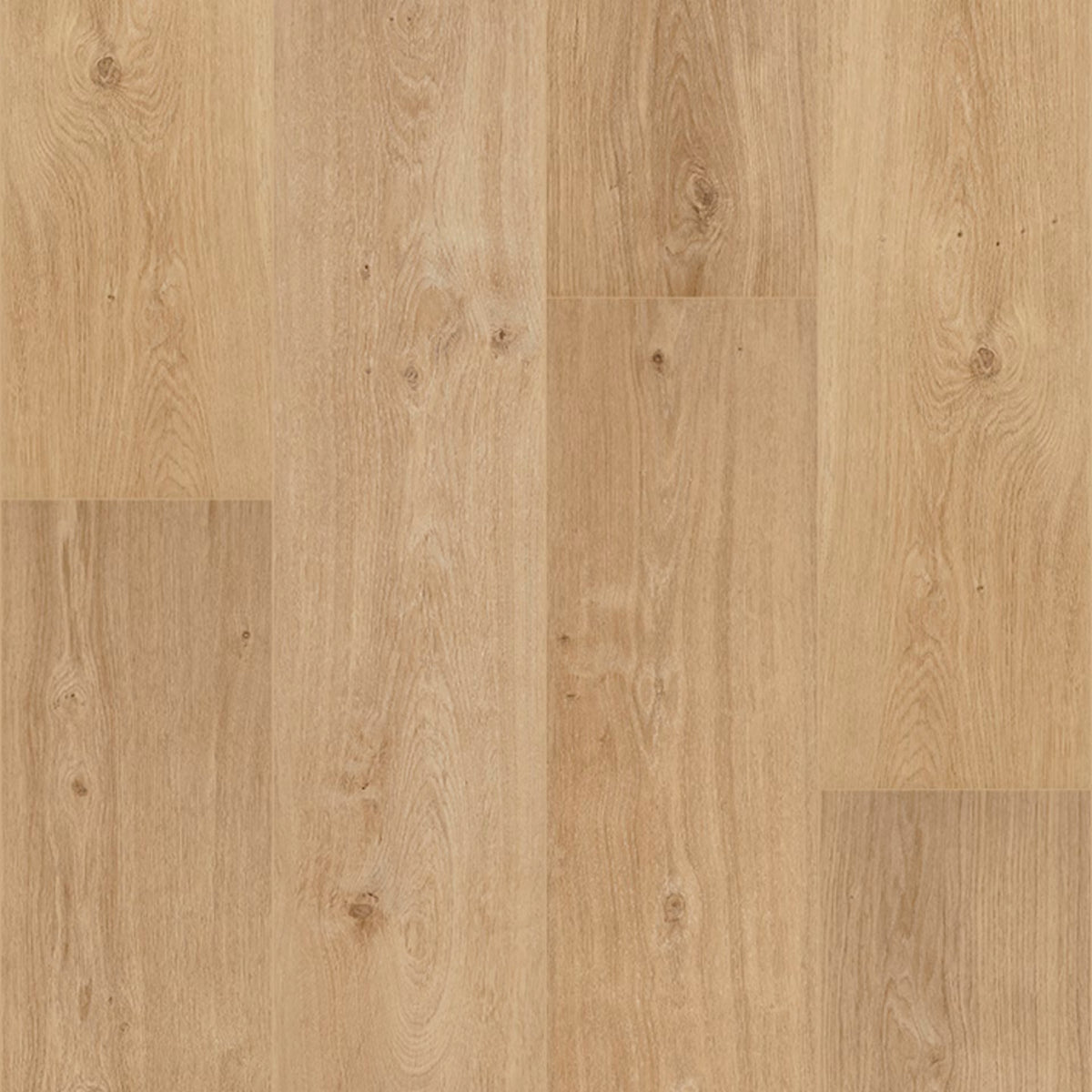 Floorify Long Planks Cider Glue Down