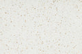 Altro Walkway Swan