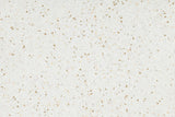 Altro Walkway Swan