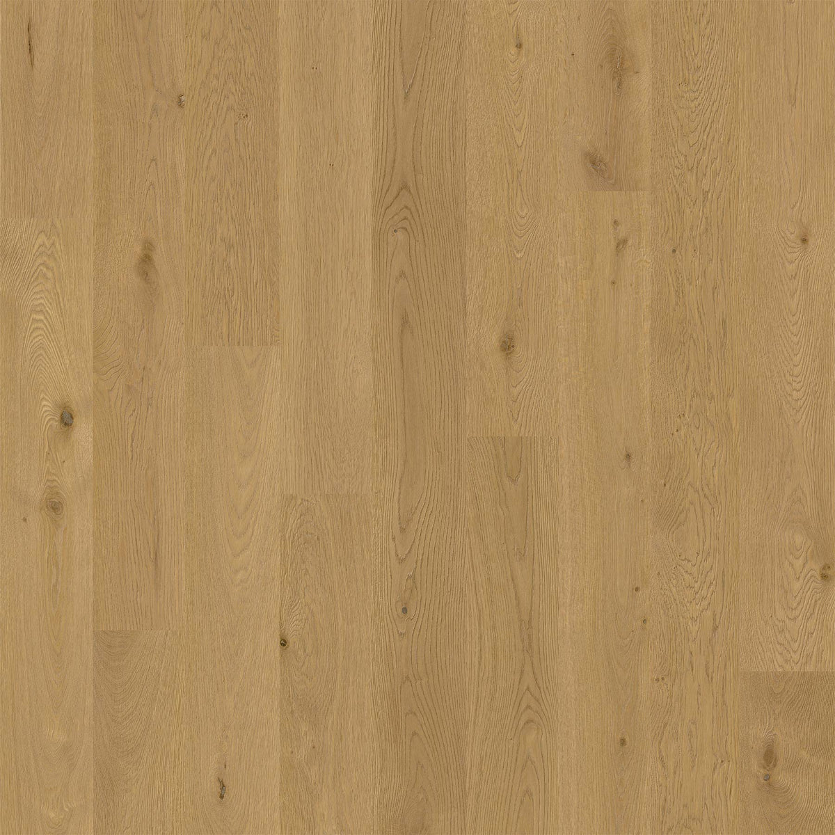 Karta Recycled Leather 1495.08 Apian Wide Plank Laminate Flooring