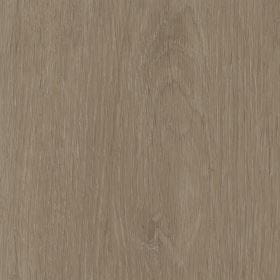 Invictus Maximus Elegant Oak - Tan