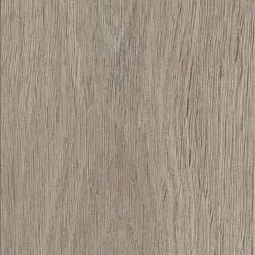 Invictus Maximus Highland Oak - Canyon