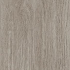 Invictus Maximus New England Oak - Misty