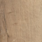 Invictus Primus Royal Oak - Traditional