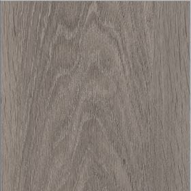 Invictus Maximus Silk Oak - Shade