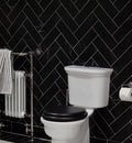 Fired Earth East Hampton Black 300mm x 100mm Diamond Sawn Honed
