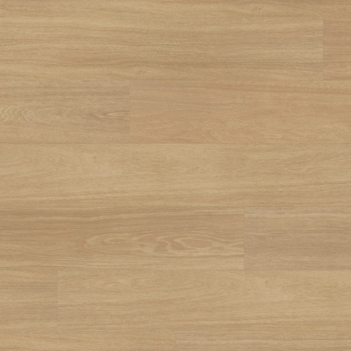 Karndean Van Gogh Gluedown Natural Prime Oak