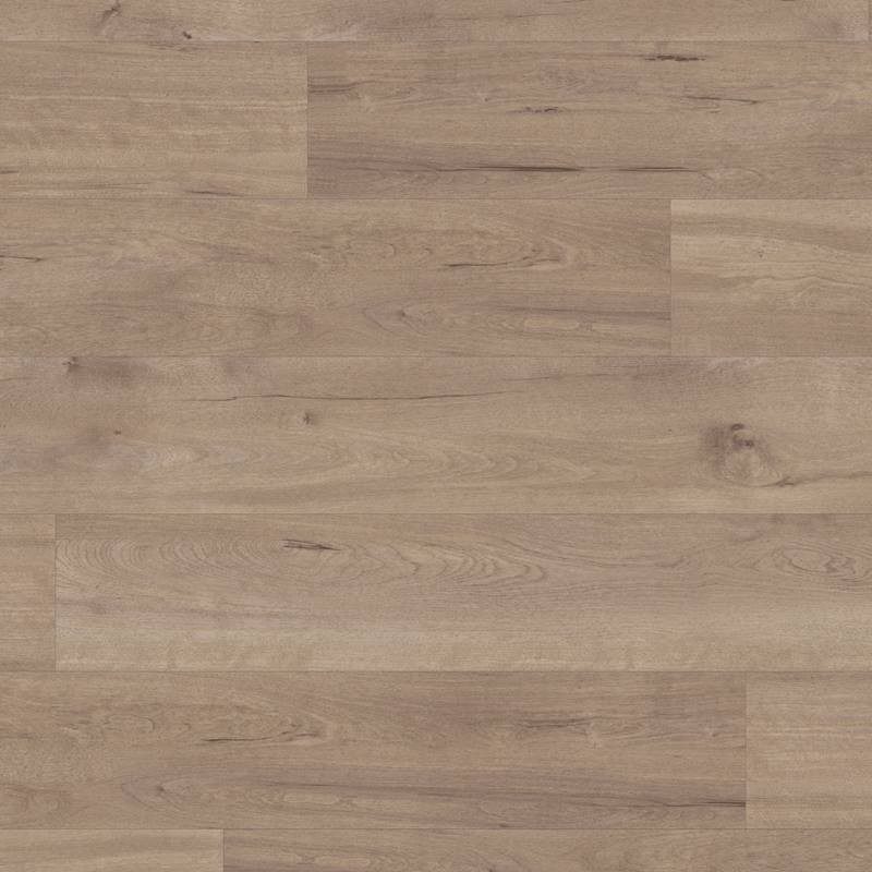 Karndean Van Gogh Gluedown Frosted Birch