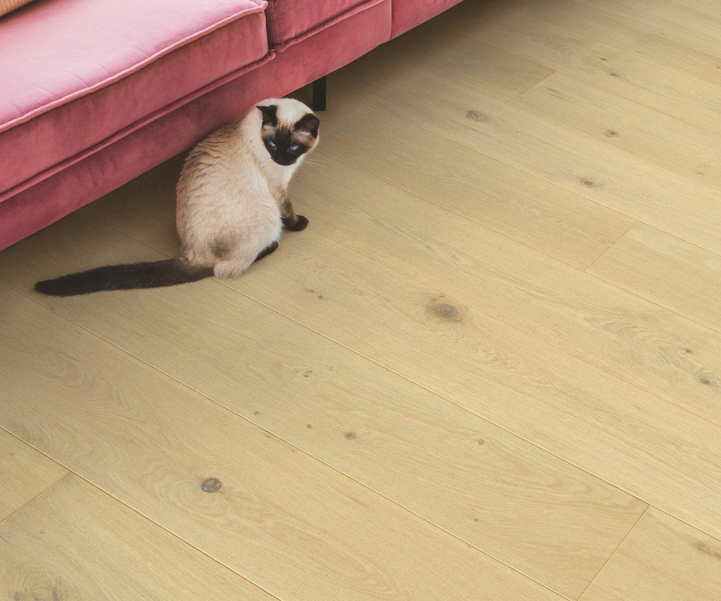 Quickstep Hardwood Cala – Pearl white Oak Extra Matt