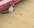 Quickstep Hardwood Cala – Pearl white Oak Extra Matt