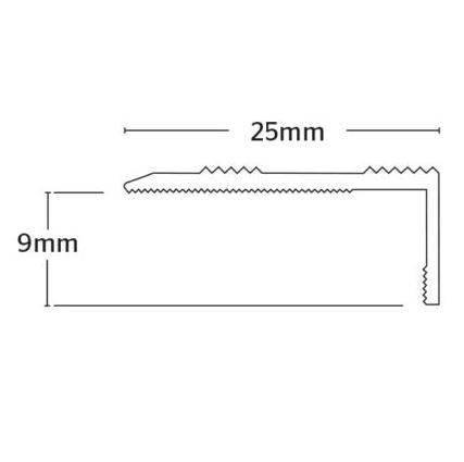 Interfloor Premier Profile Nosing 9mm