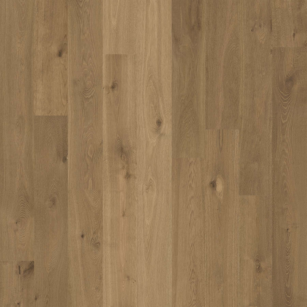 Karta Recycled Leather 1915.08 Robinson Wide Plank Laminate Flooring