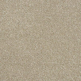 Abingdon Carpets Rustique Ultra Driftwood