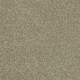 Abingdon Carpets Rustique Ultra Sedge