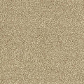 Abingdon Carpets Maximus Biscotti