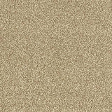 Abingdon Carpets Maximus Biscotti