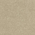 Abingdon Carpets Maximus Moccasin