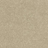 Abingdon Carpets Maximus Moccasin