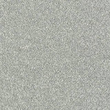 Abingdon Carpets Maximus Platinum