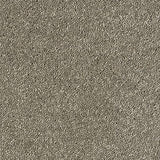 Abingdon Carpets Sophisticat Mocha