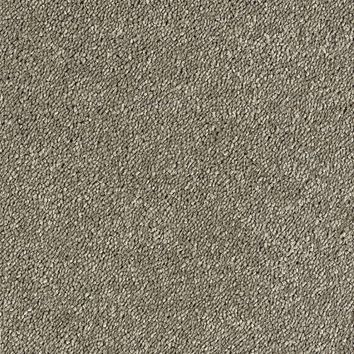 Abingdon Carpets Sophisticat Mocha