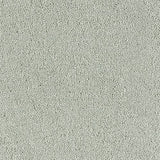 Abingdon Carpets Sophisticat Suede