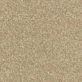 Abingdon Carpets Ultra Biscotti