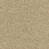 Abingdon Carpets Ultra Biscotti