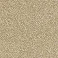 Abingdon Carpets Ultra Latte