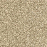 Abingdon Carpets Ultra Latte