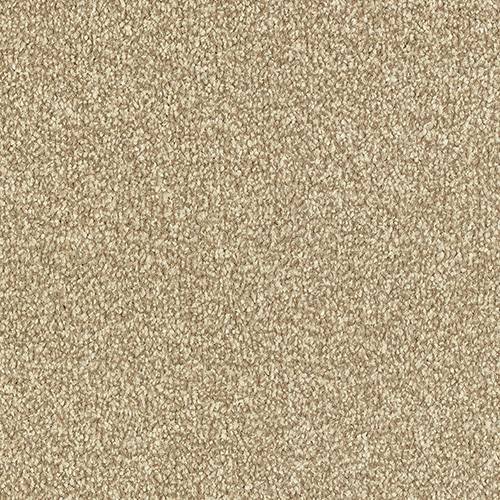 Abingdon Carpets Ultra Latte