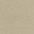 Abingdon Carpets Ultra Moccasin
