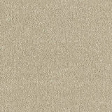 Abingdon Carpets Ultra Moccasin