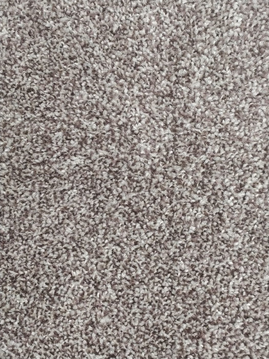 Nature Sandy Shore