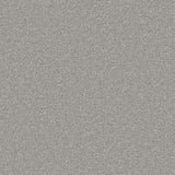 Cormar Carpet Apollo Plus Aluminium