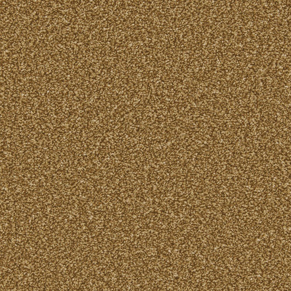 Cormar Carpet Apollo Plus Bumblebee