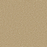 Cormar Carpet Apollo Plus Caramel