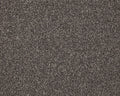 Cormar Carpet Inglewood Saxony Carbon