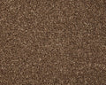 Cormar Carpet Inglewood Saxony Sweet Chestnut